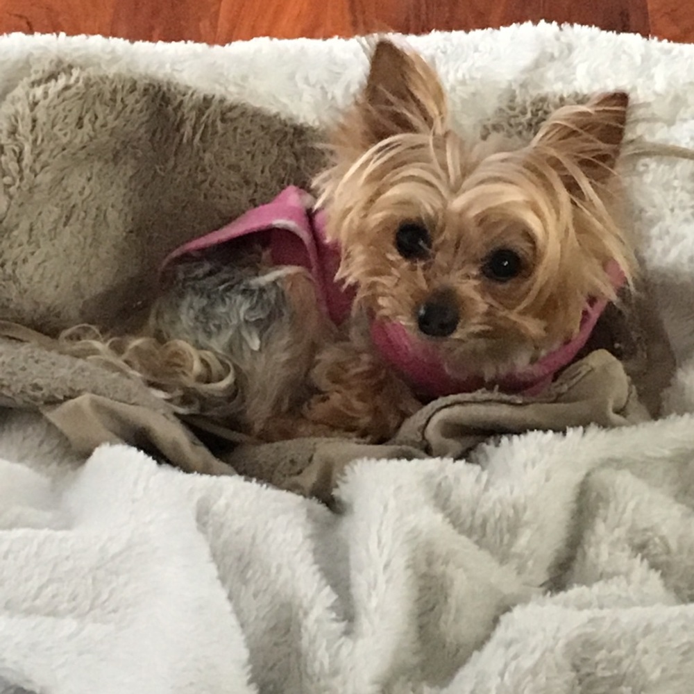 Meet your Posher, Nicole